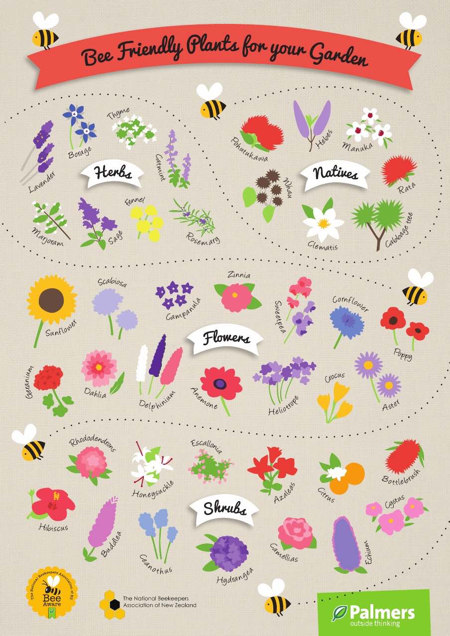Bee Friendly Plants for your Garden